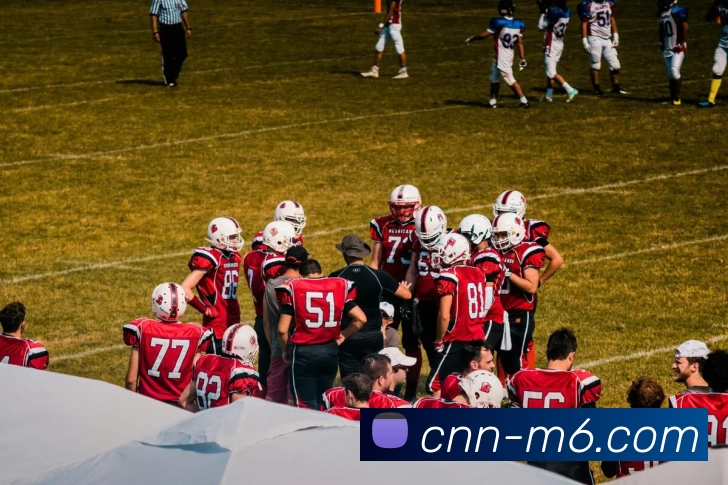 M9体育投注平台平台生态图