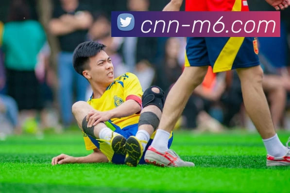 M9体育投注平台APP 封面图